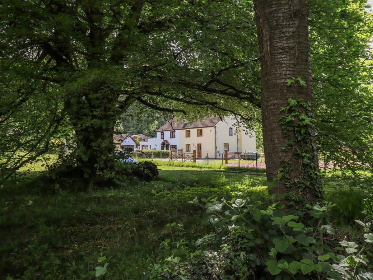 1 Greenway Cinderford Εξωτερικό φωτογραφία